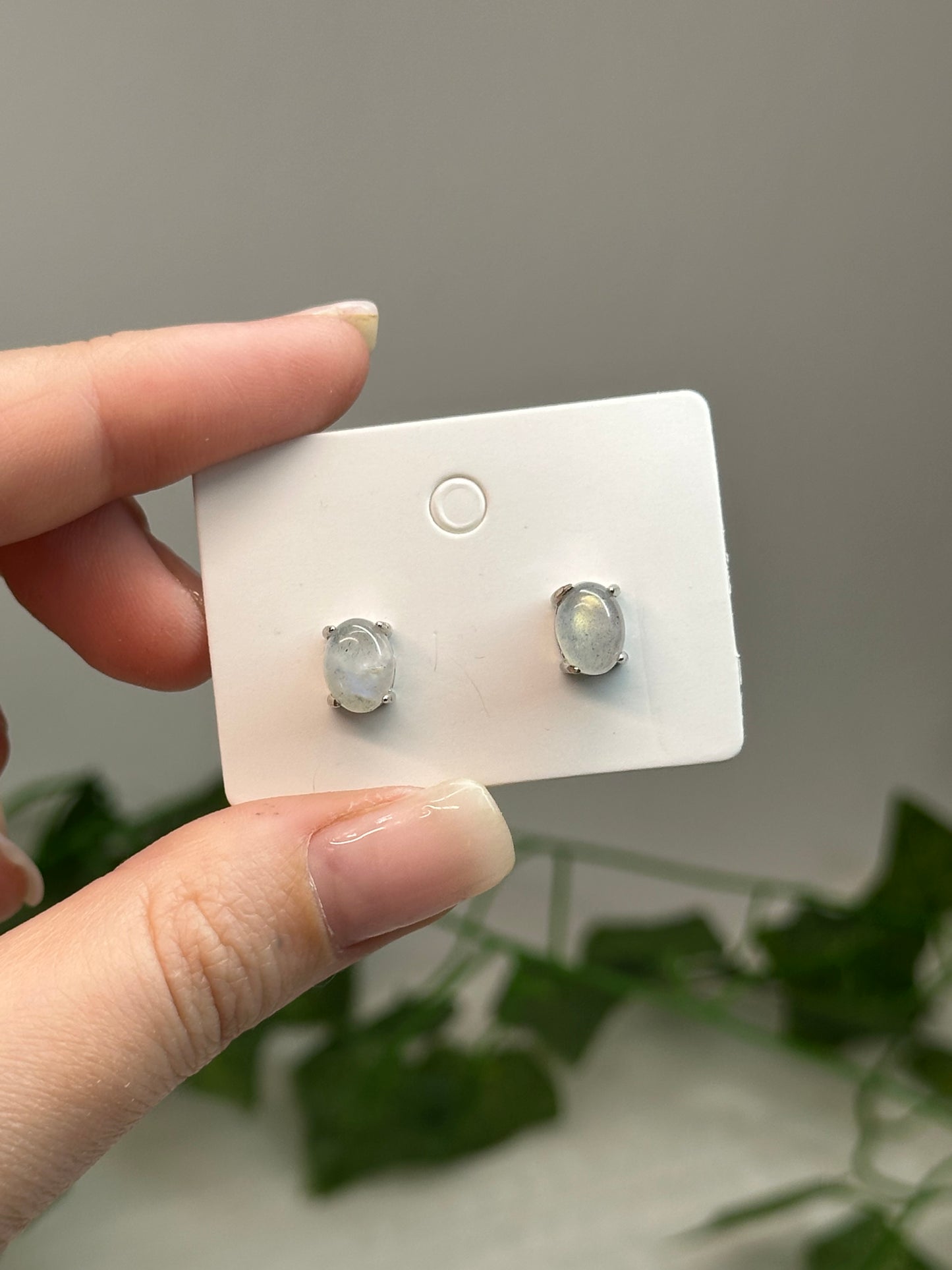 Labradorite Studs (925 Sterling Silver)