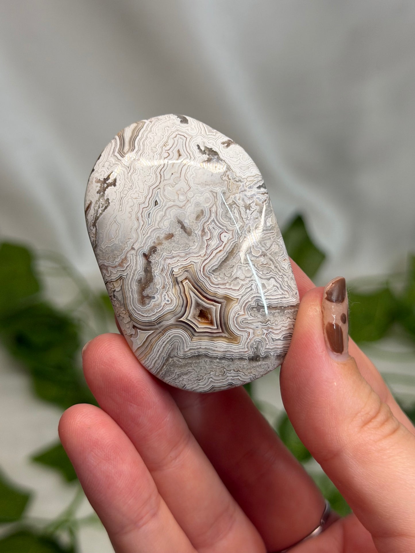 Crazy Lace Agate Palmstone