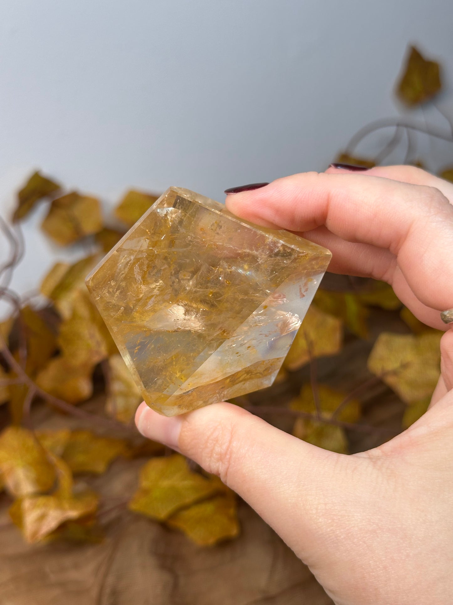 Golden Healer Freeform