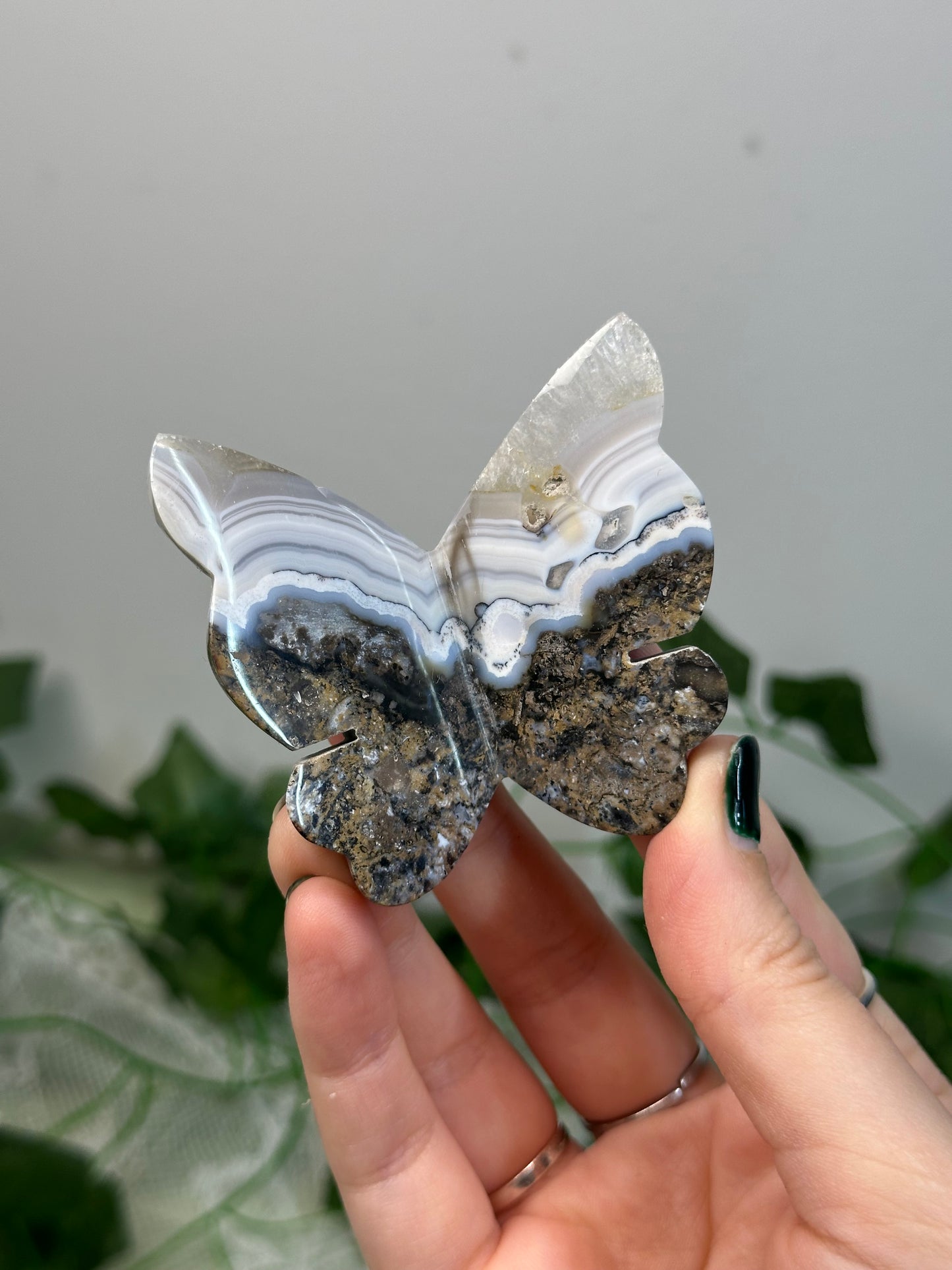 Agate Butterflies