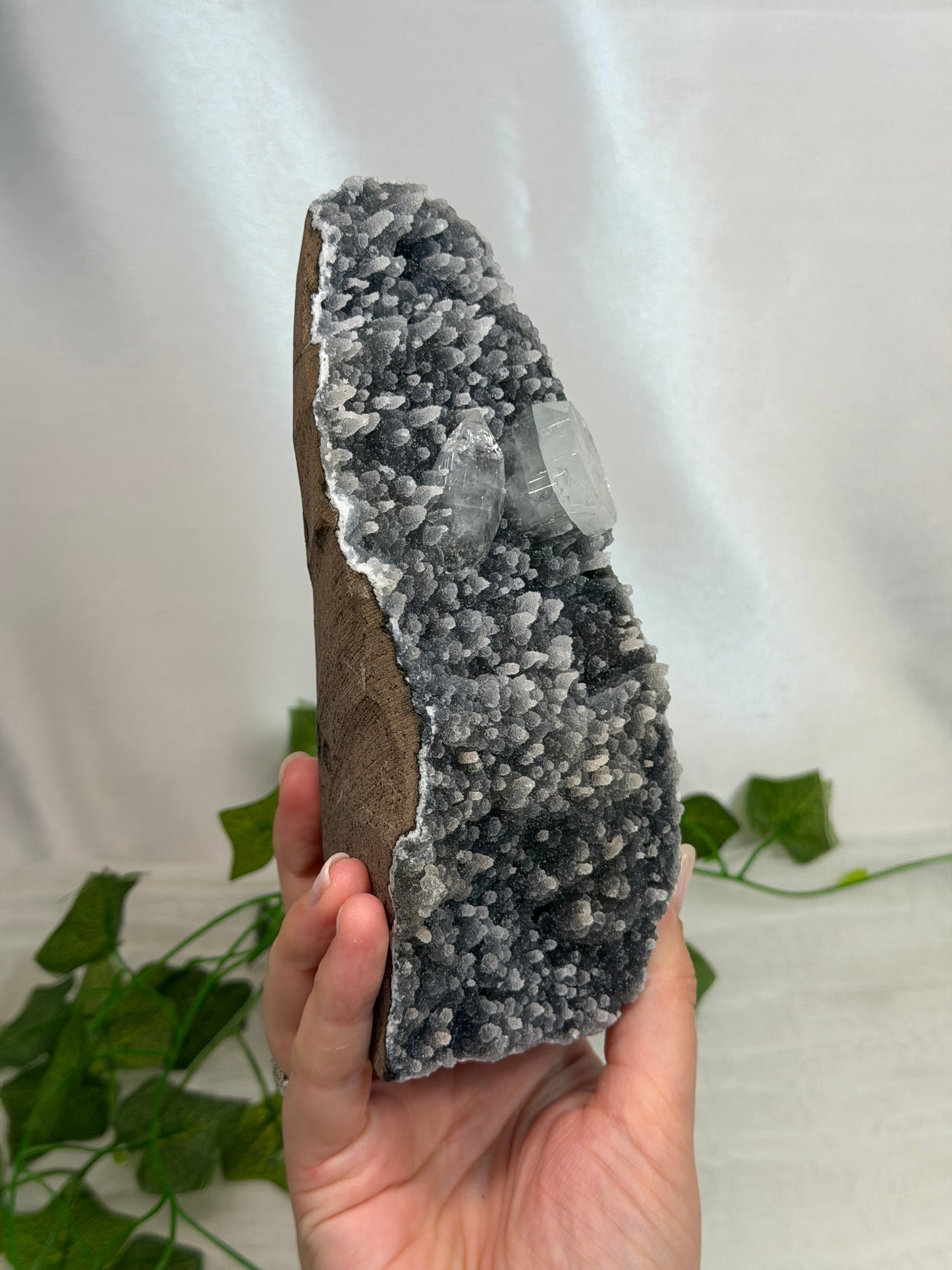 Apophyllite on Black Chalcedony Cutbase