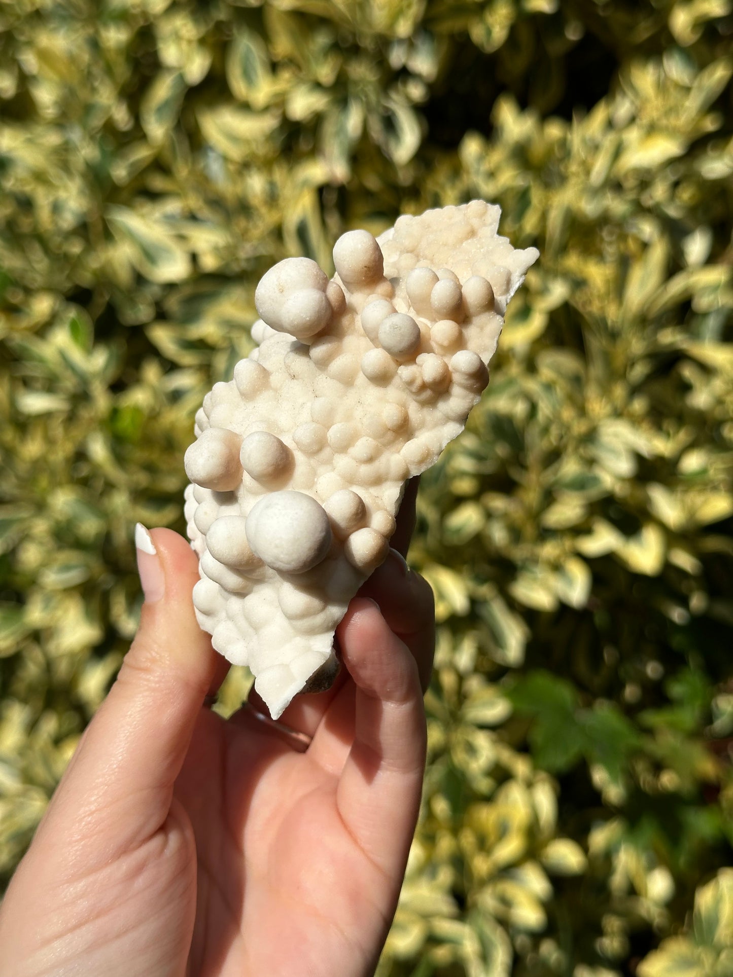 Cave Aragonite Specimen