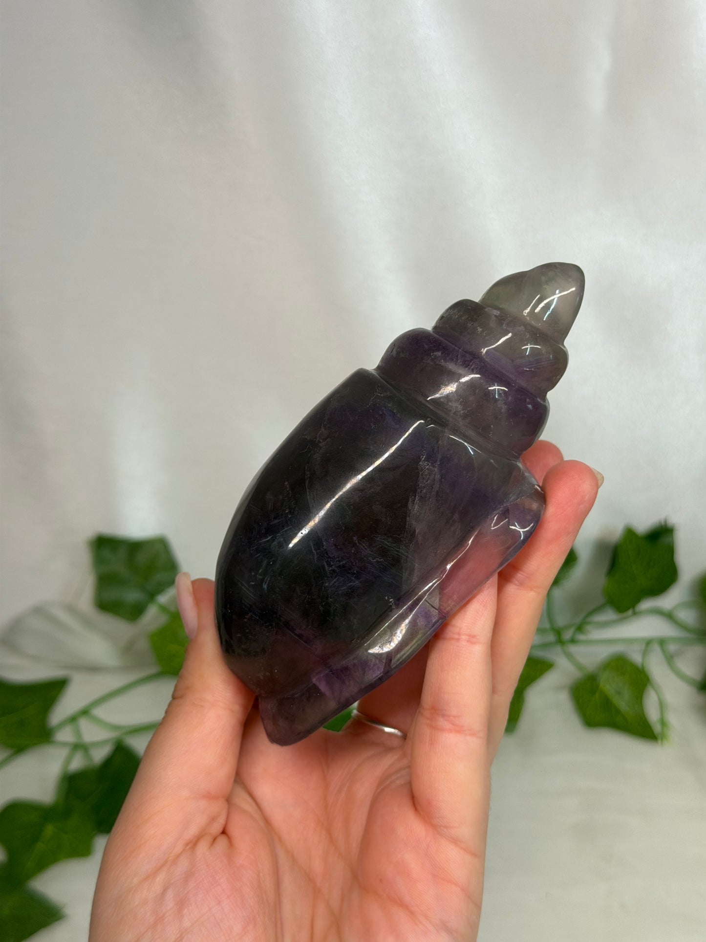 Fluorite Sea Snail
