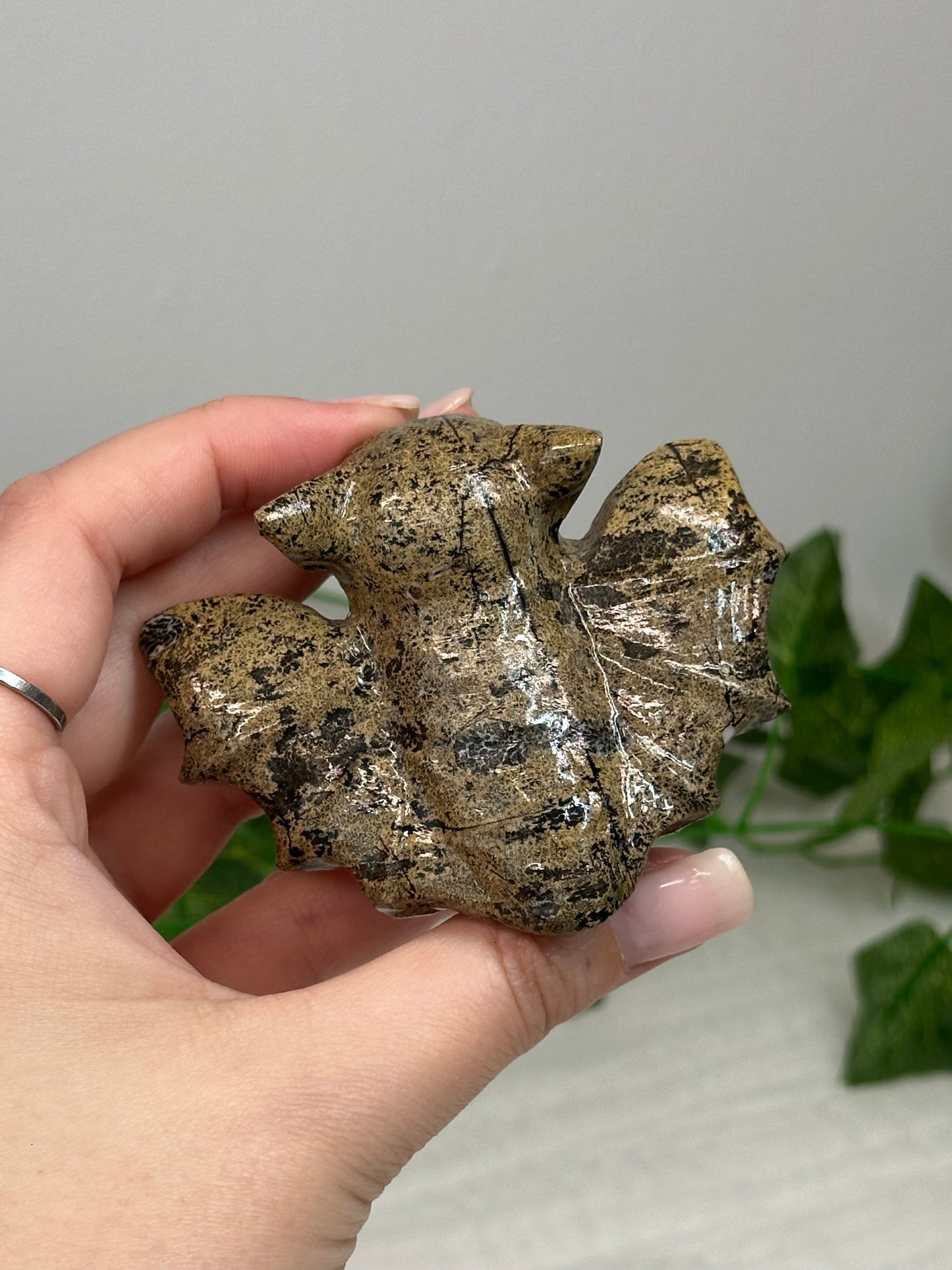 Picture Jasper Bat