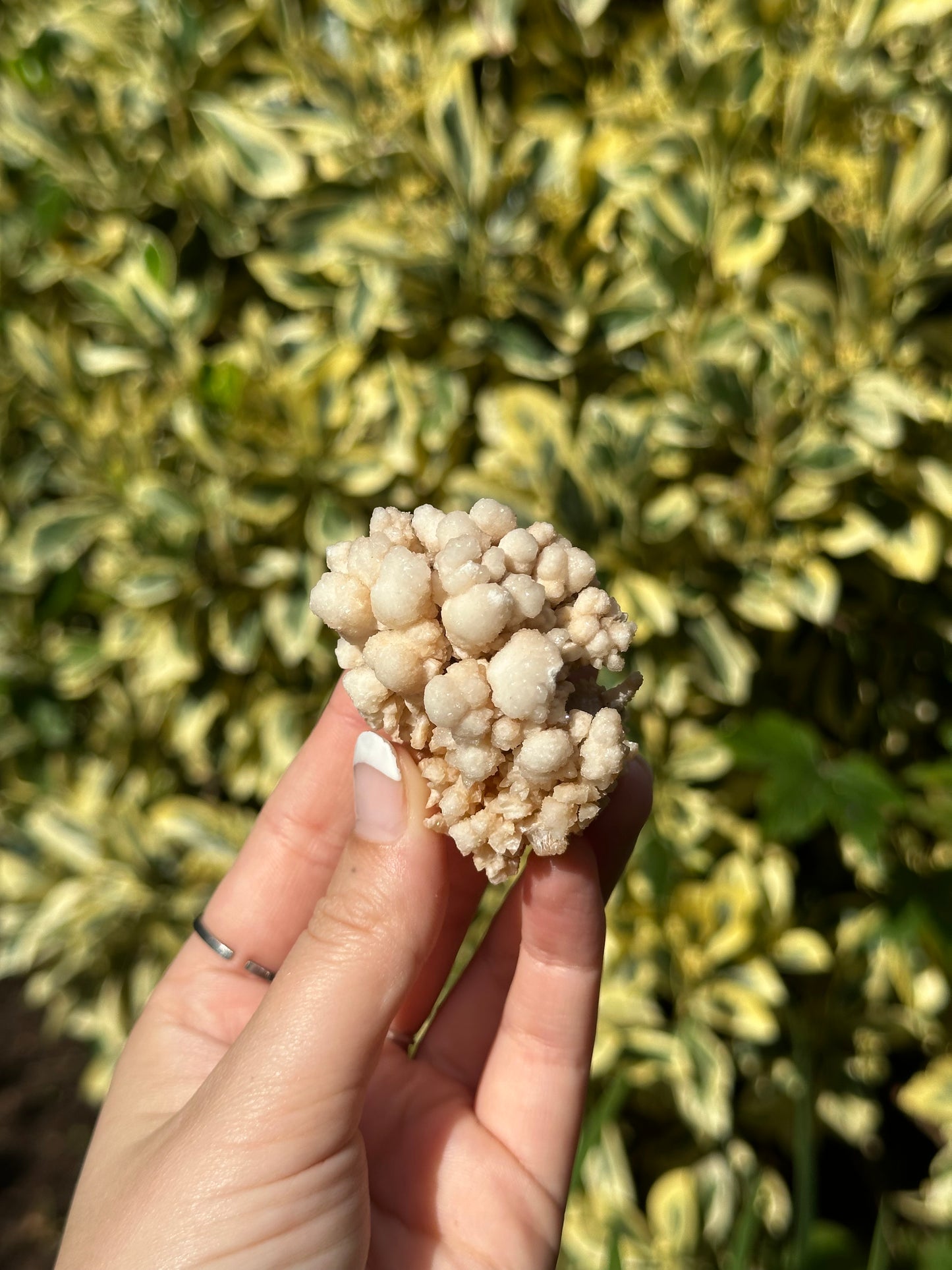 Small Cave Aragonite Specimen