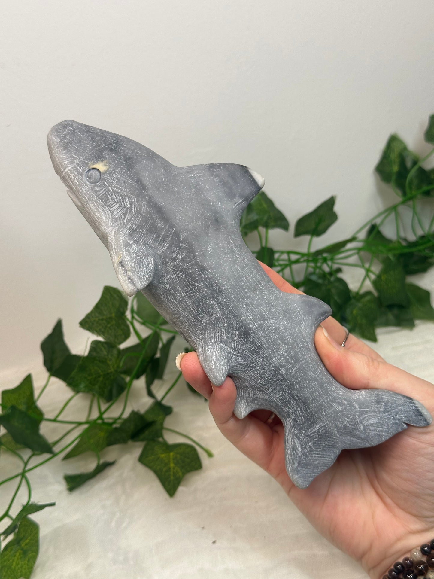 Taiji Jade Shark