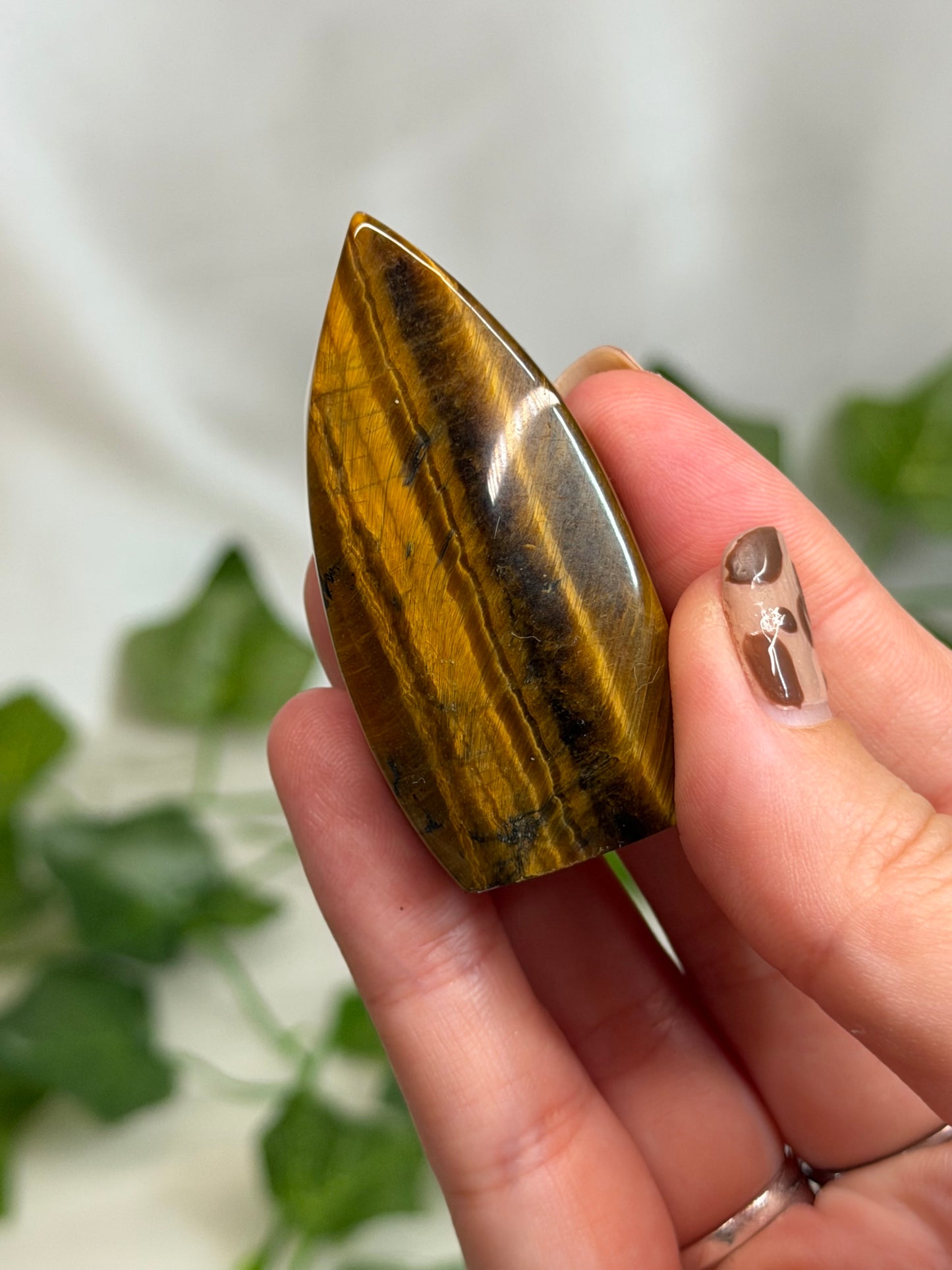 Tiger Eye Teardrops