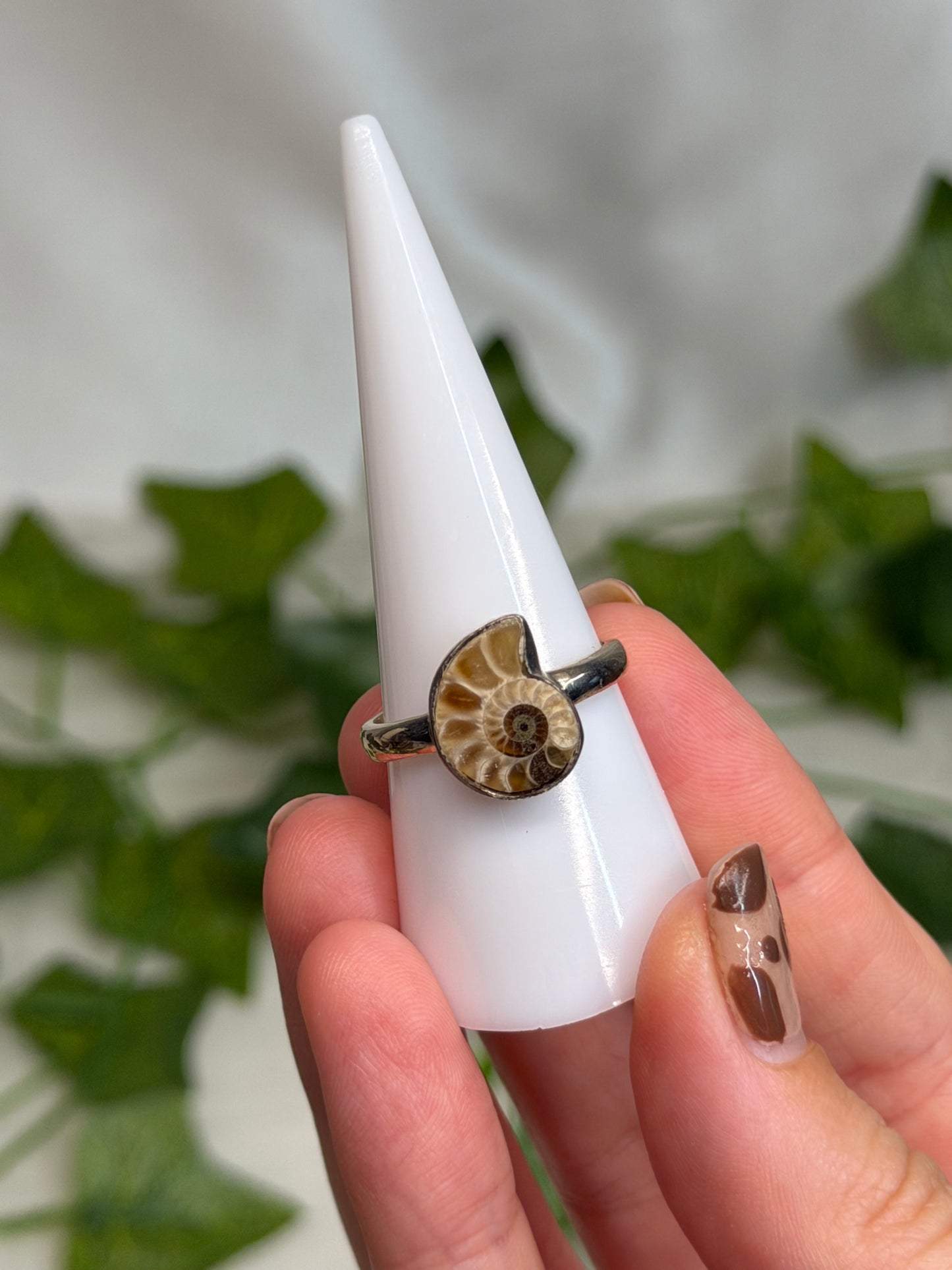 Ammonite Ring Size R (925 Sterling Silver)