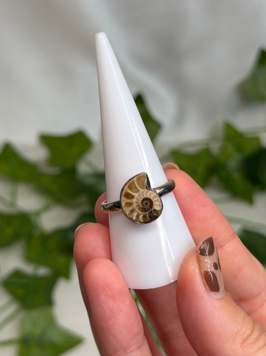 Ammonite Ring Size R (925 Sterling Silver)