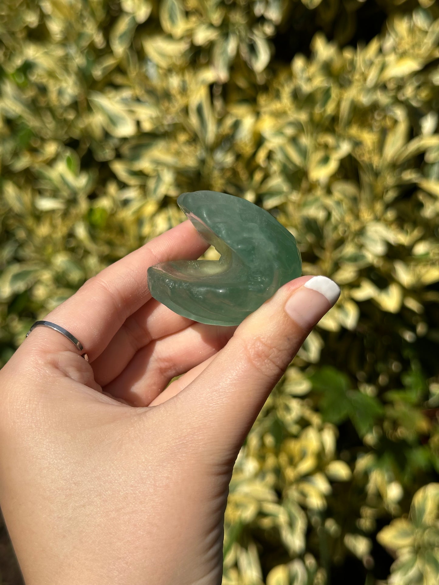 Green Fluorite Clam Shell