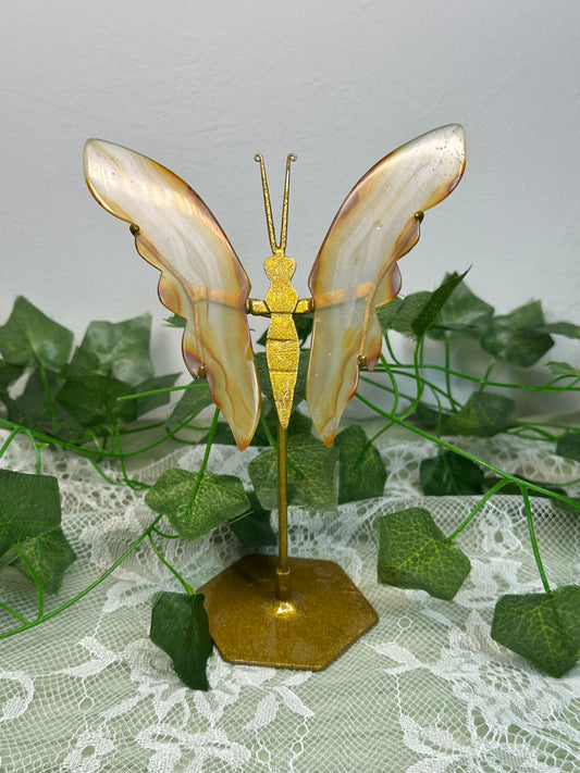 Iris Agate Butterfly D