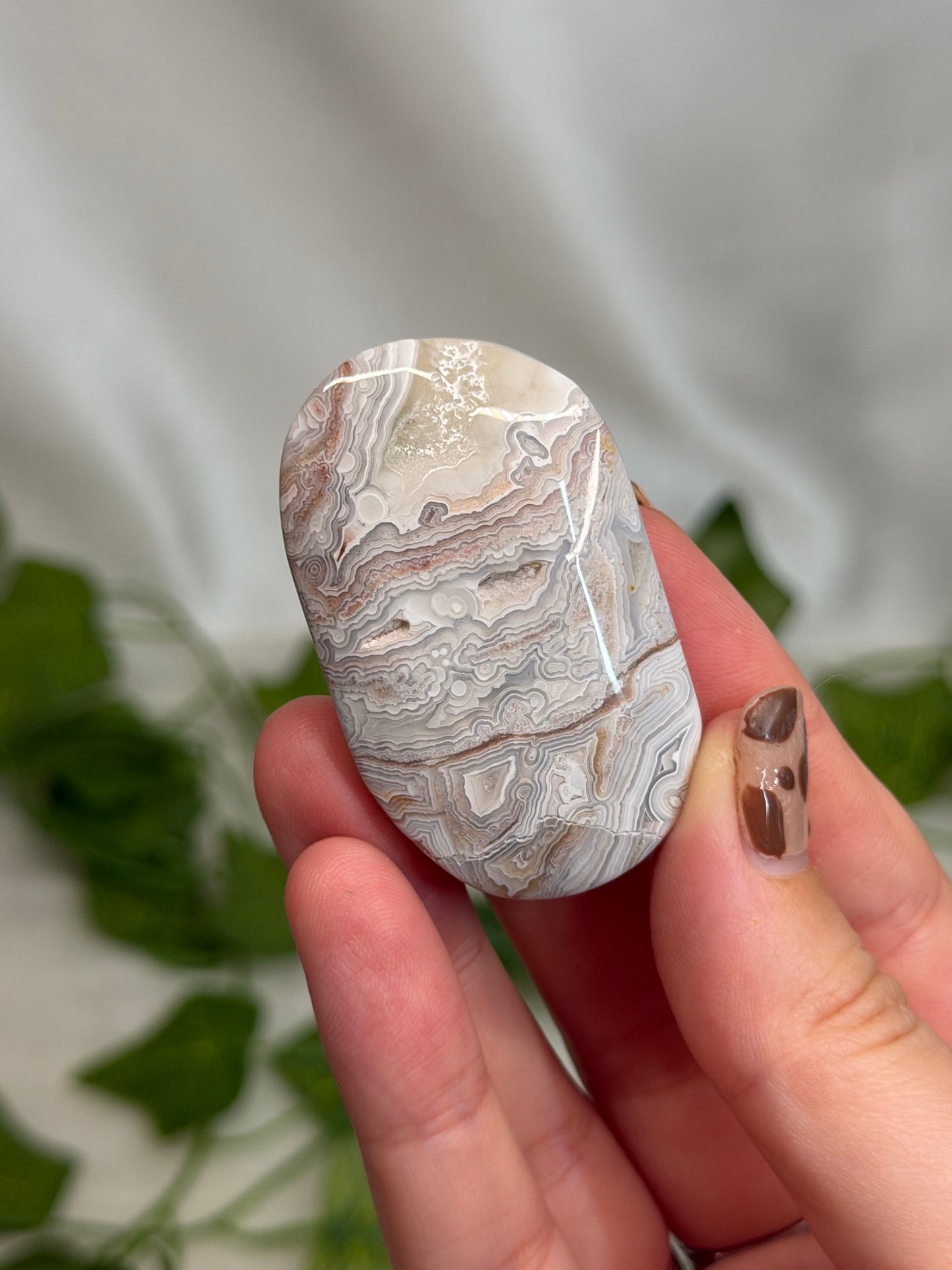 Crazy Lace Agate Palmstone