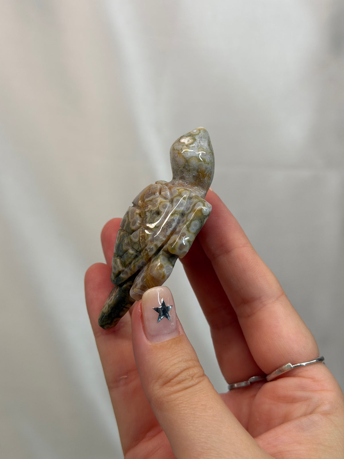 Sea Jasper Turtle