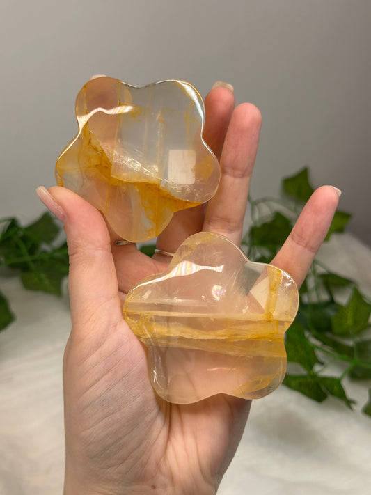 Golden Healer Flower
