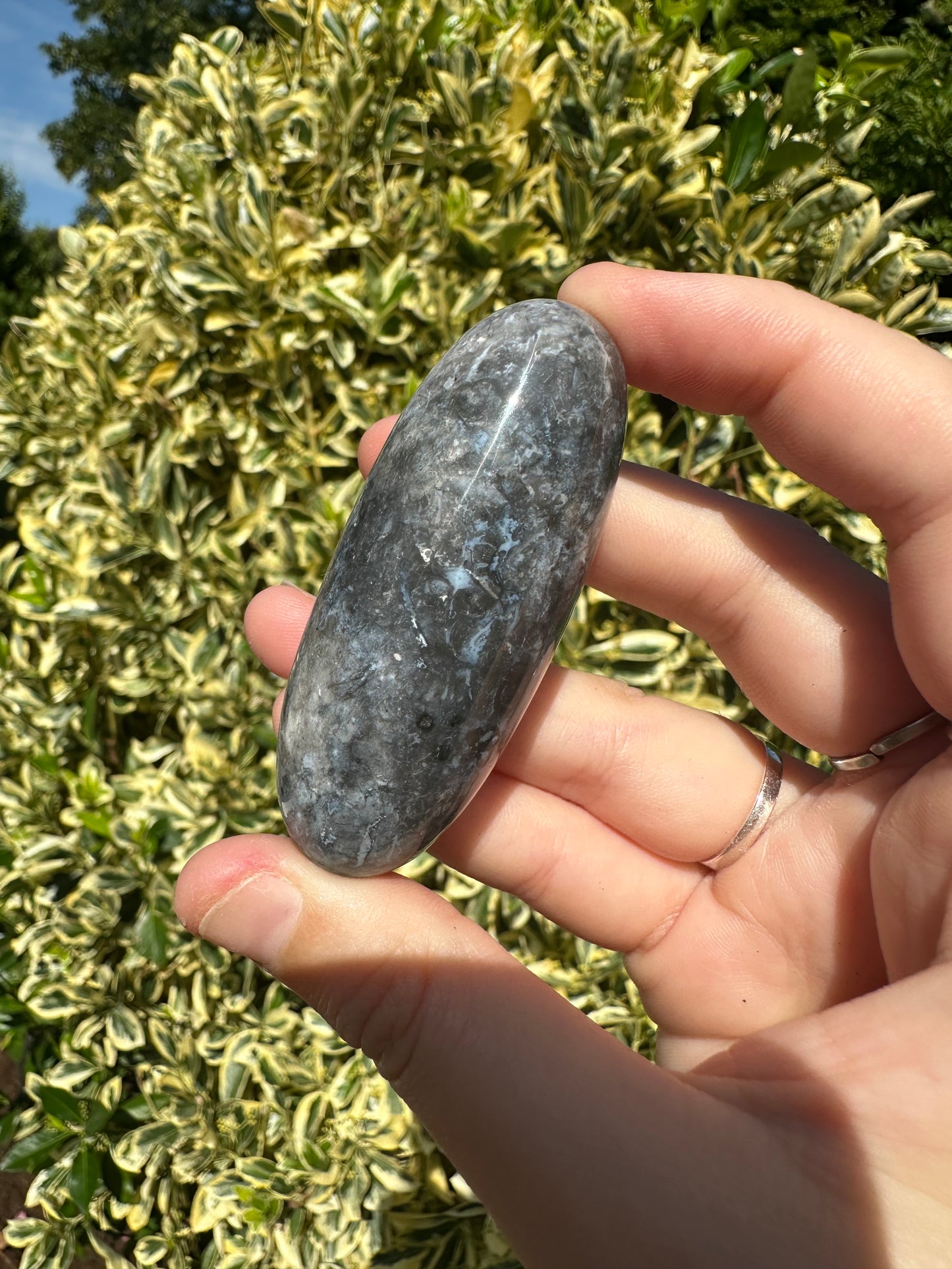 Blue Plume Agate Shivas
