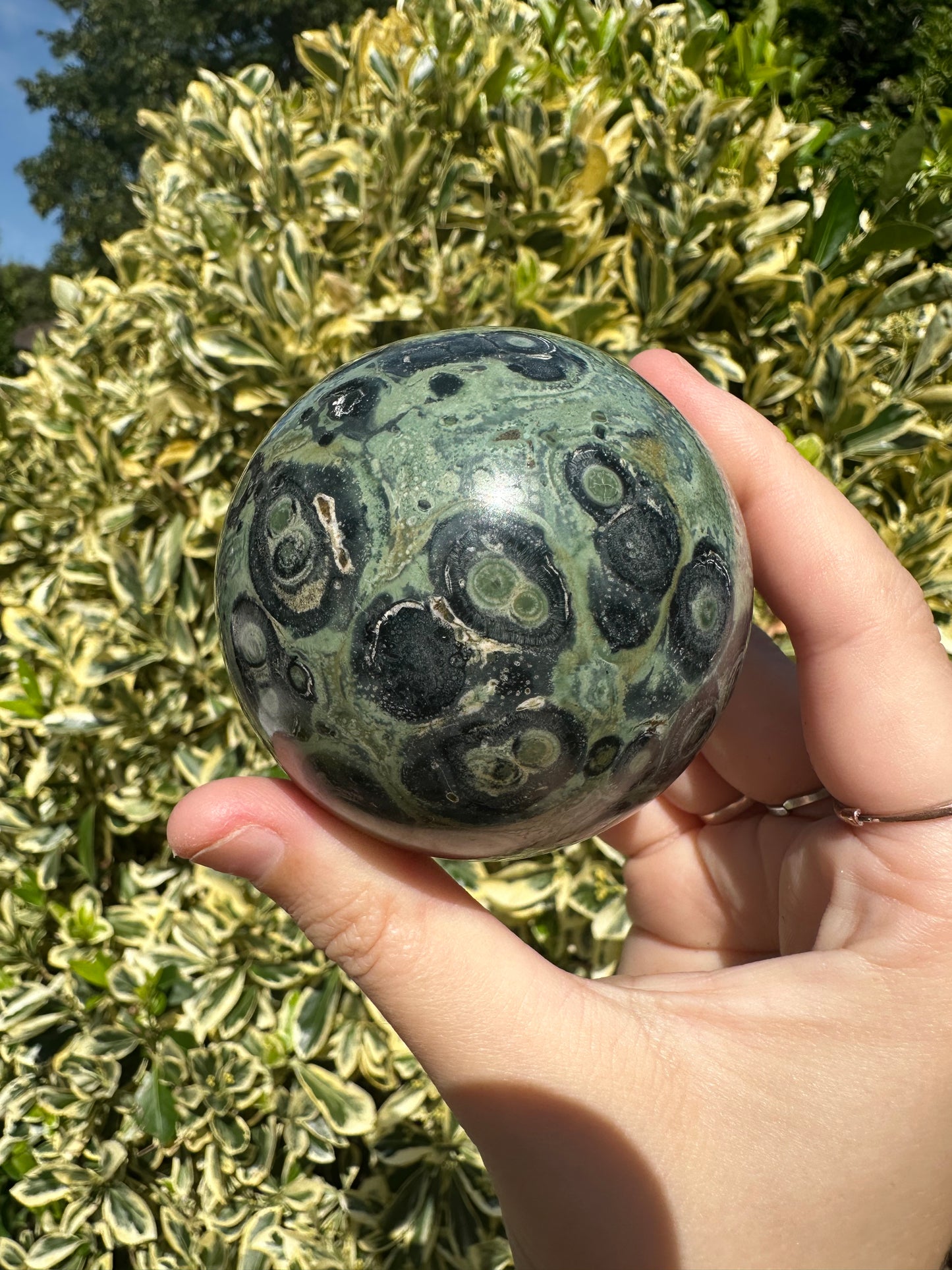 Kambaba Jasper Spheres