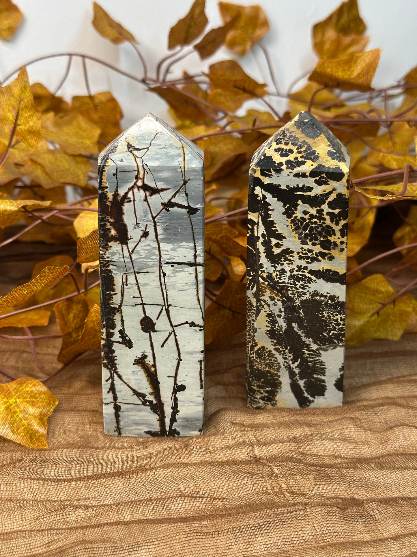 Picture Jasper Towers