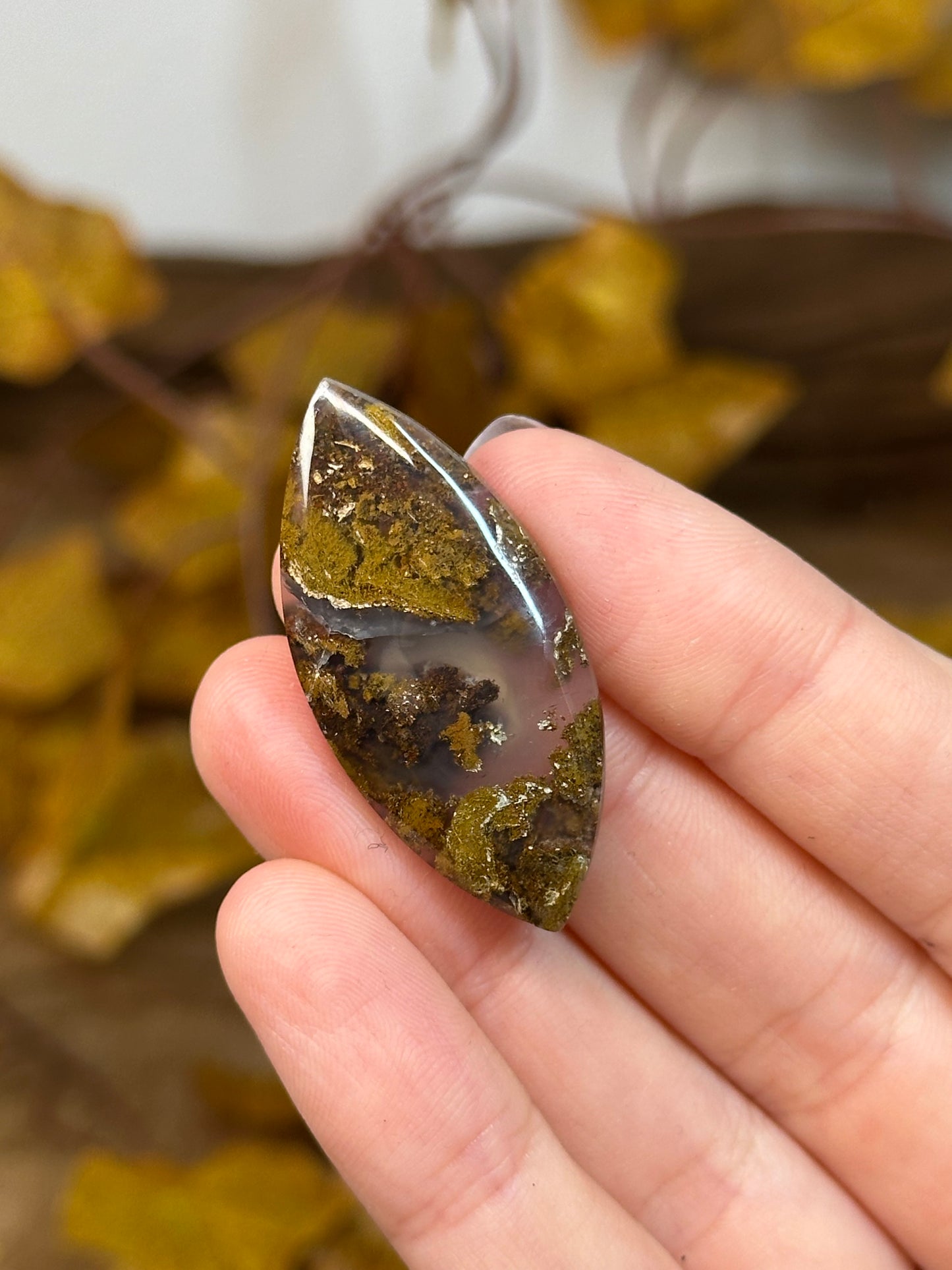 Scenic Moss Agate Cabochons