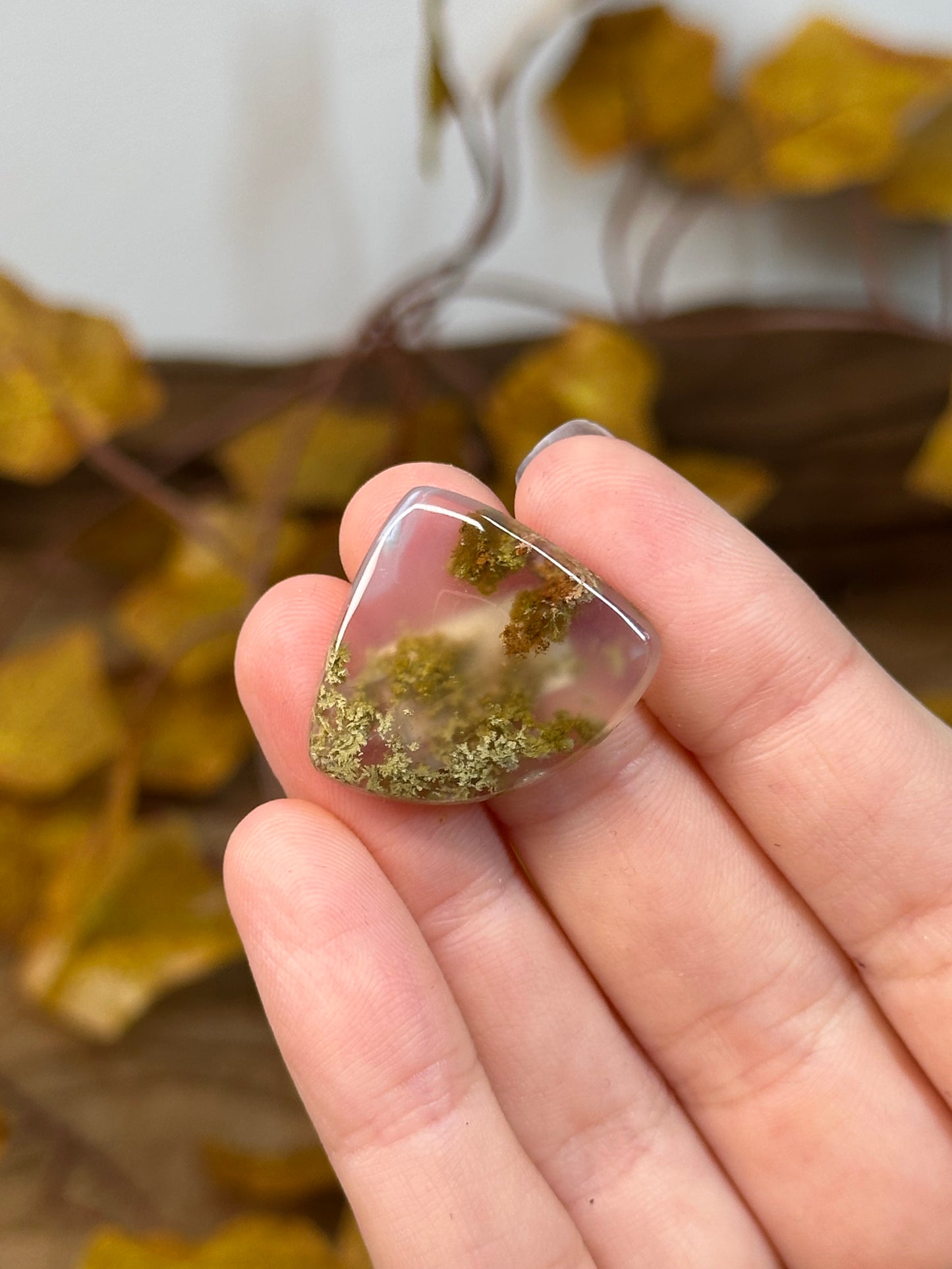 Scenic Moss Agate Cabochons