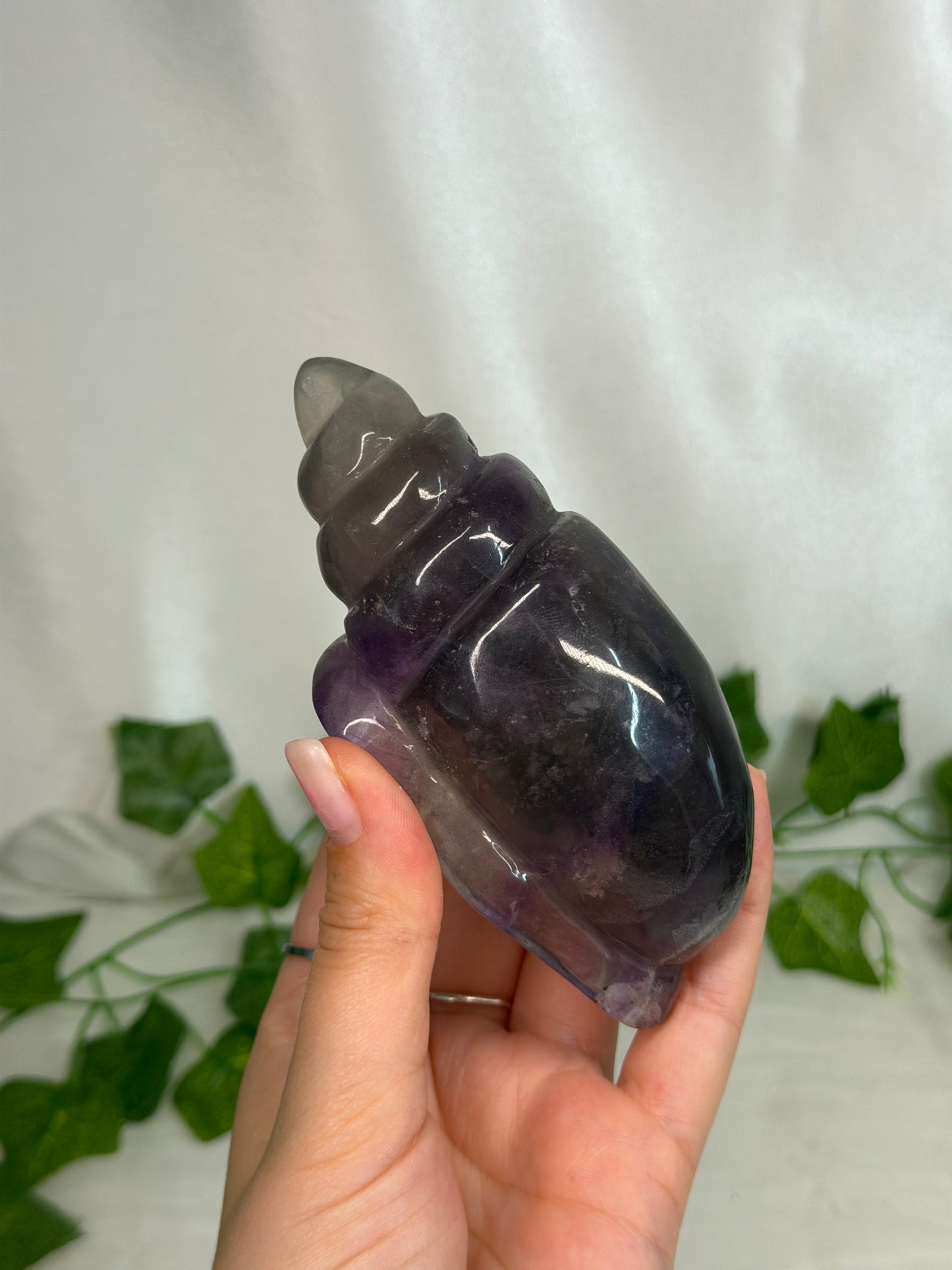 Fluorite Sea Snail
