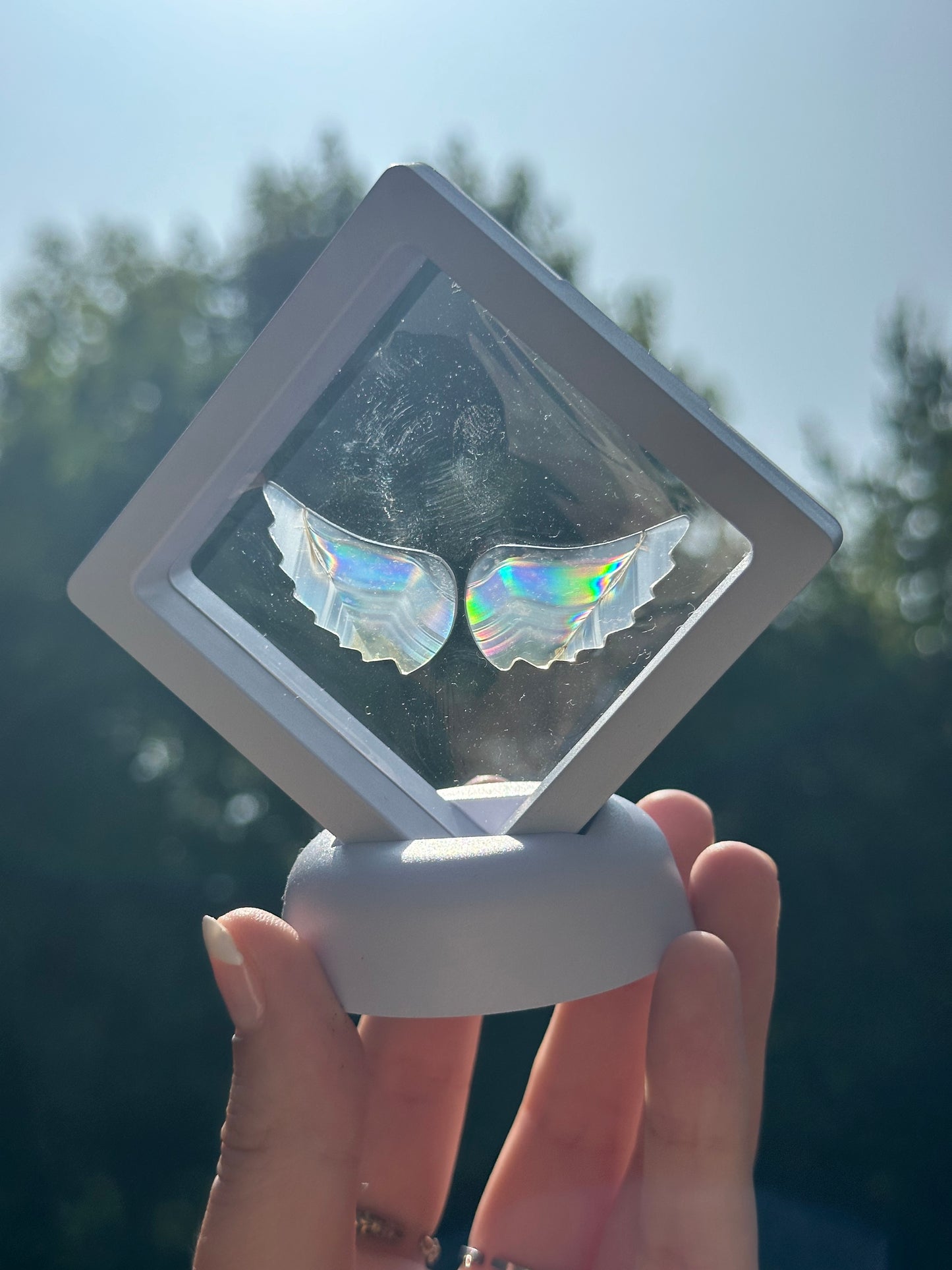Iris Agate Angel Wings