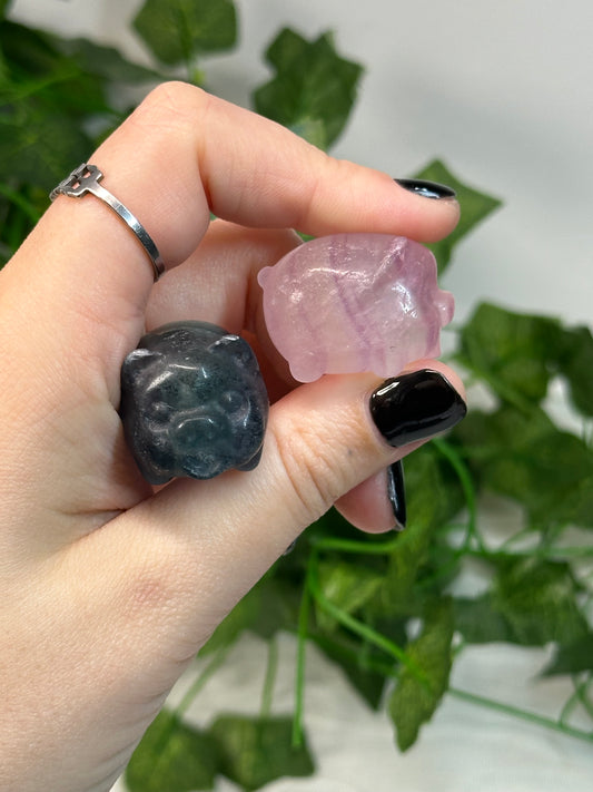 Fluorite Pigs
