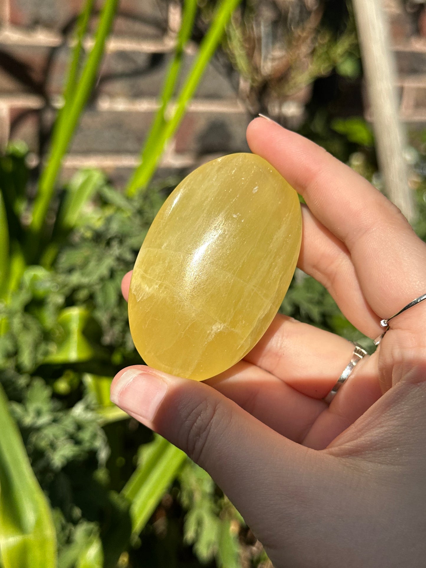 Lemon Calcite Palmstones