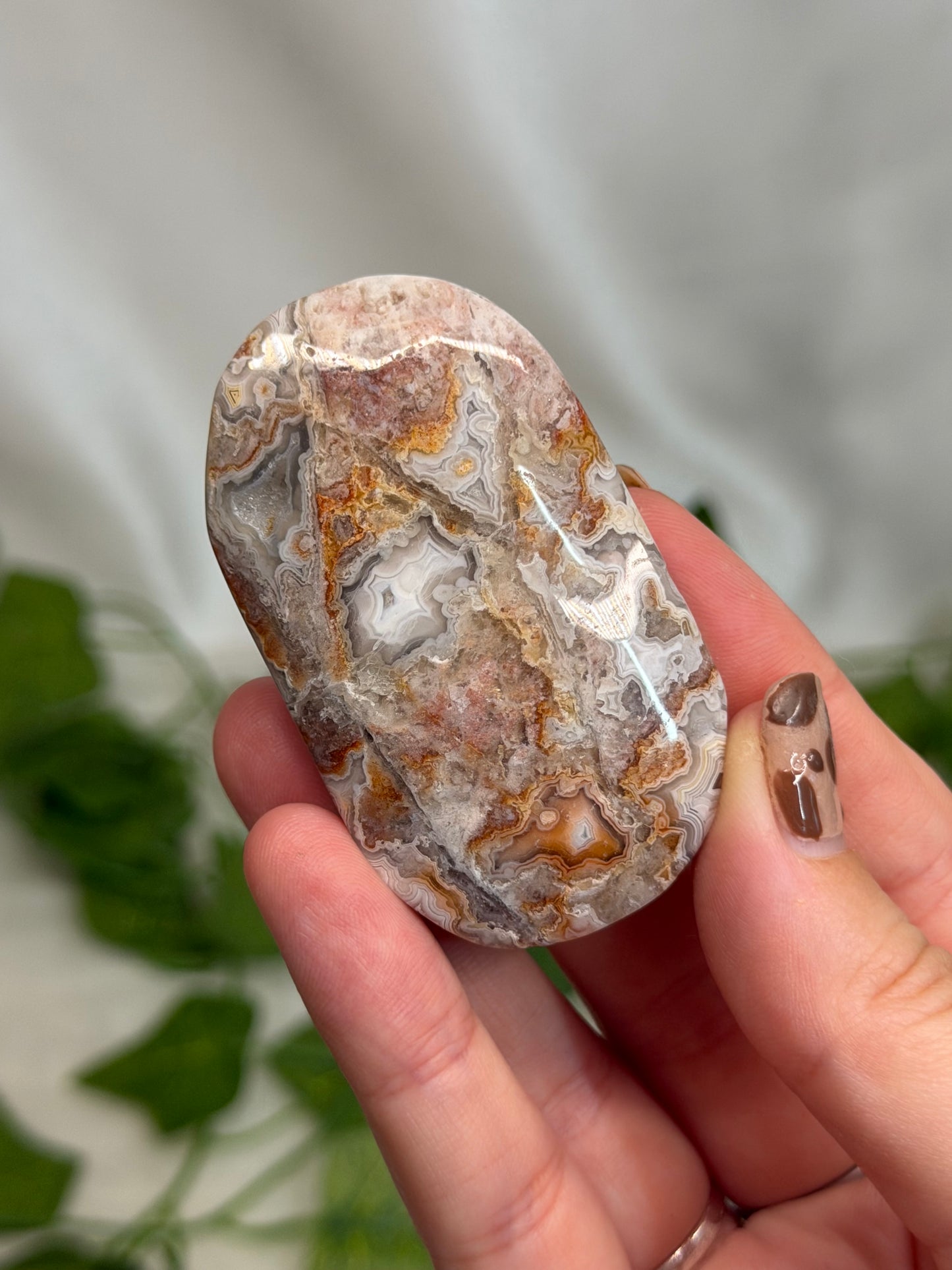Crazy Lace Agate Palmstone