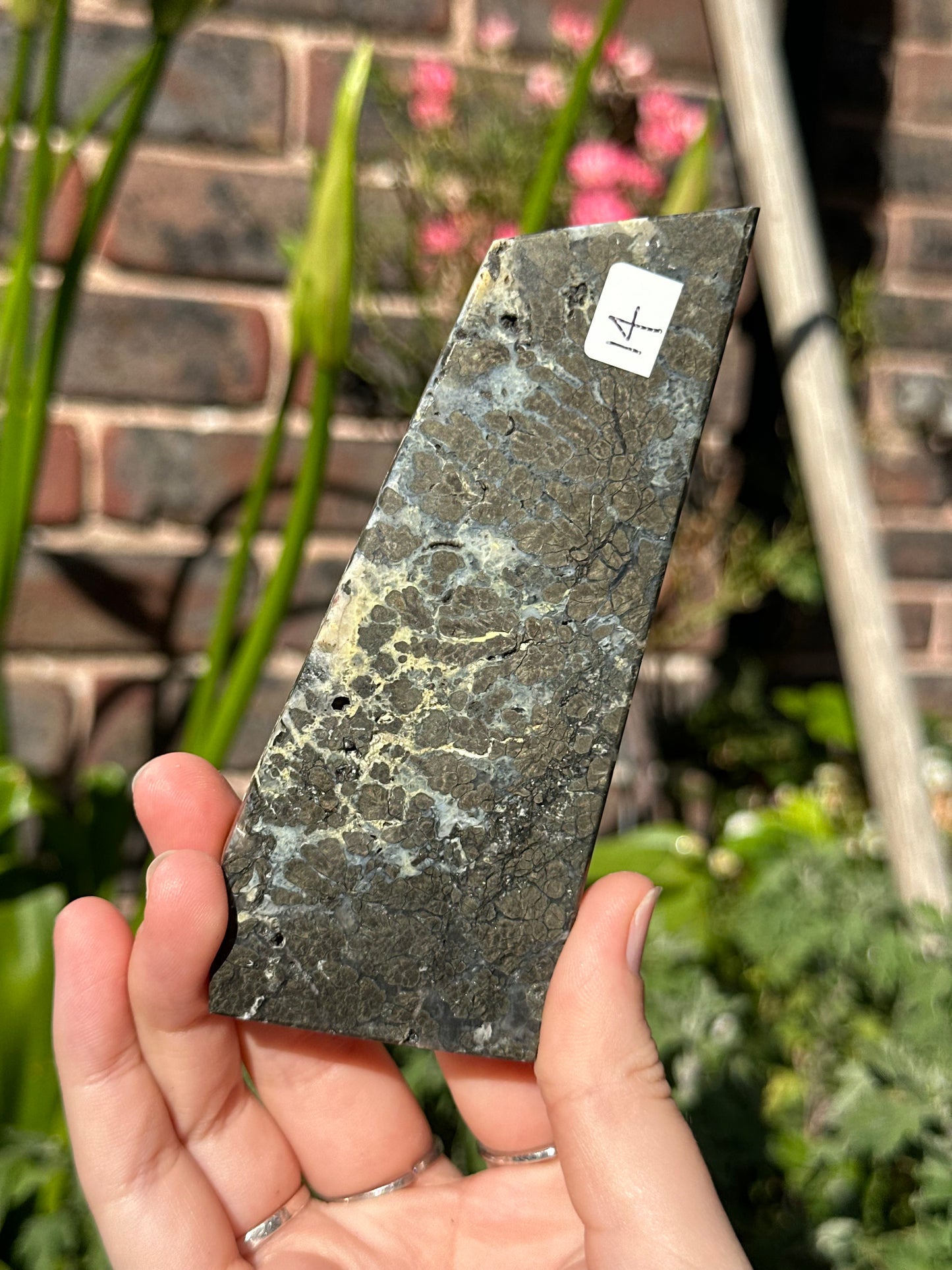 Pyrite in Agate Slab A