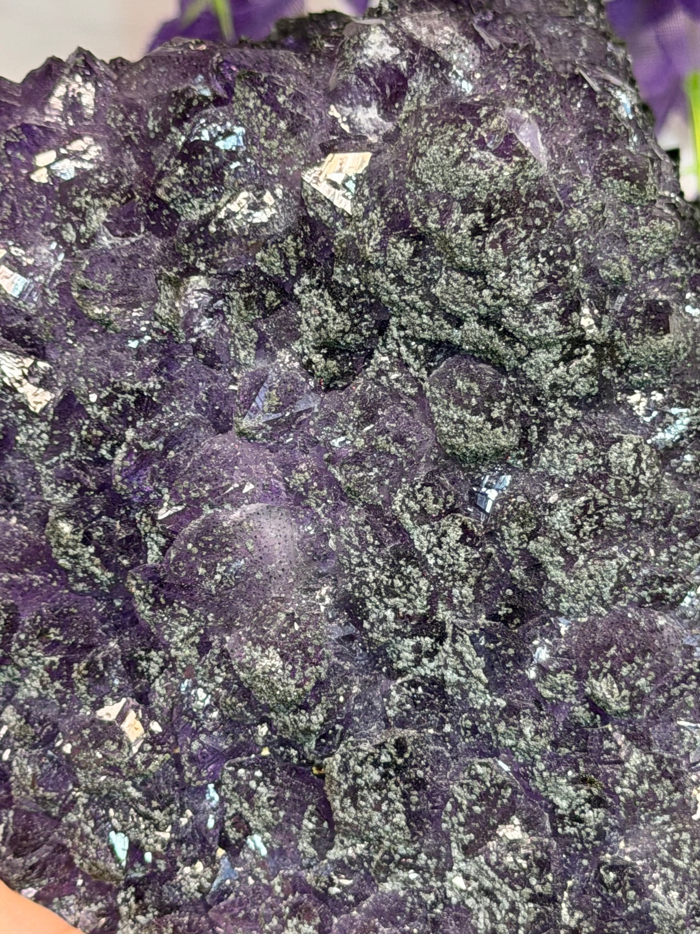 Pyrite Coated Amethyst Cluster