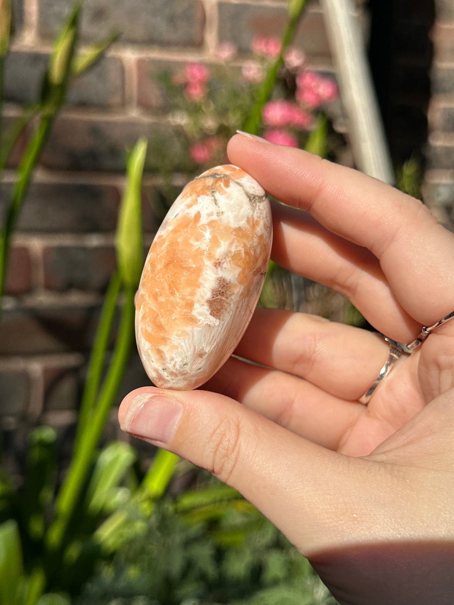 Peach Scolecite Shivas