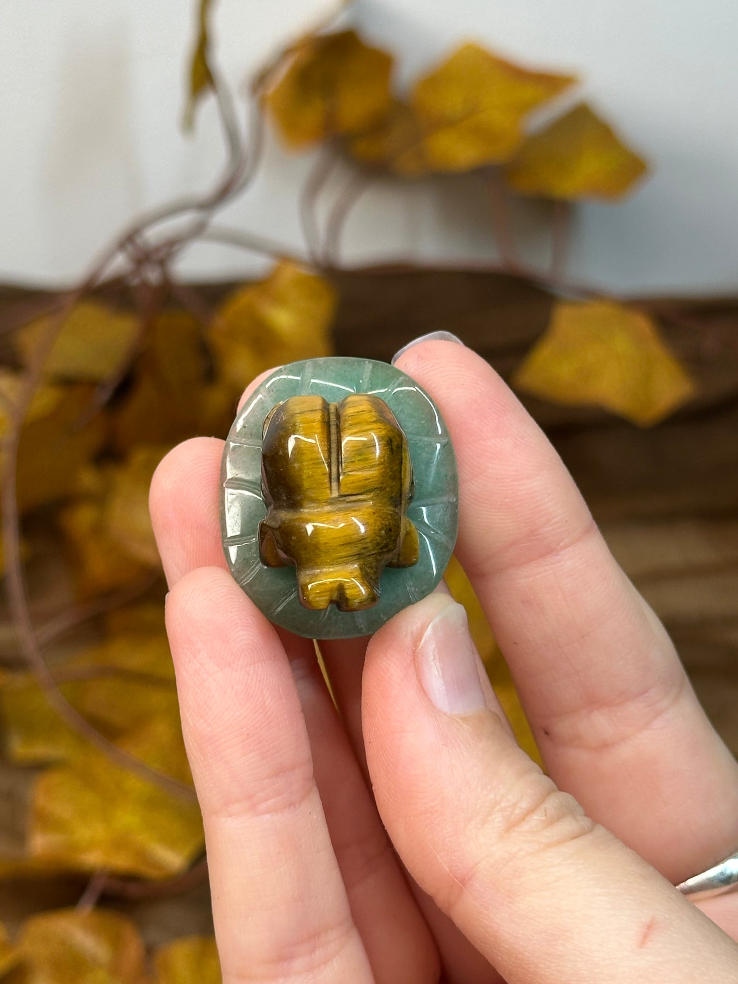 Tiger Eye Bug on Green Aventurine Leaf