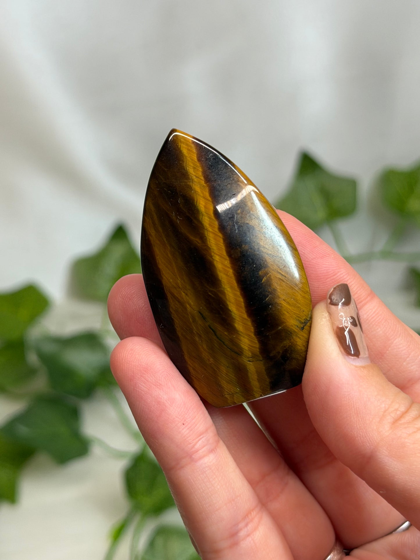 Tiger Eye Teardrops