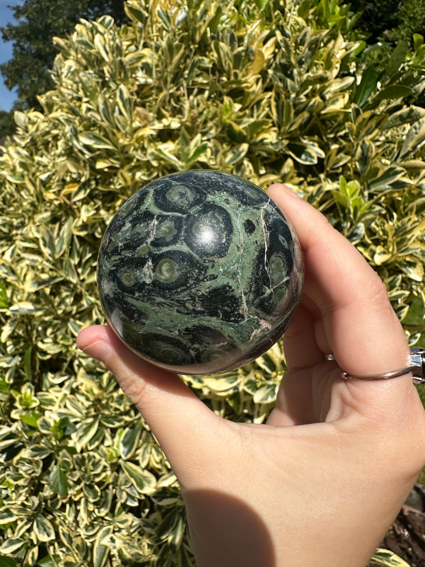 Kambaba Jasper Spheres