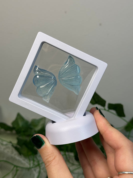 Aquamarine Butterfly Wings
