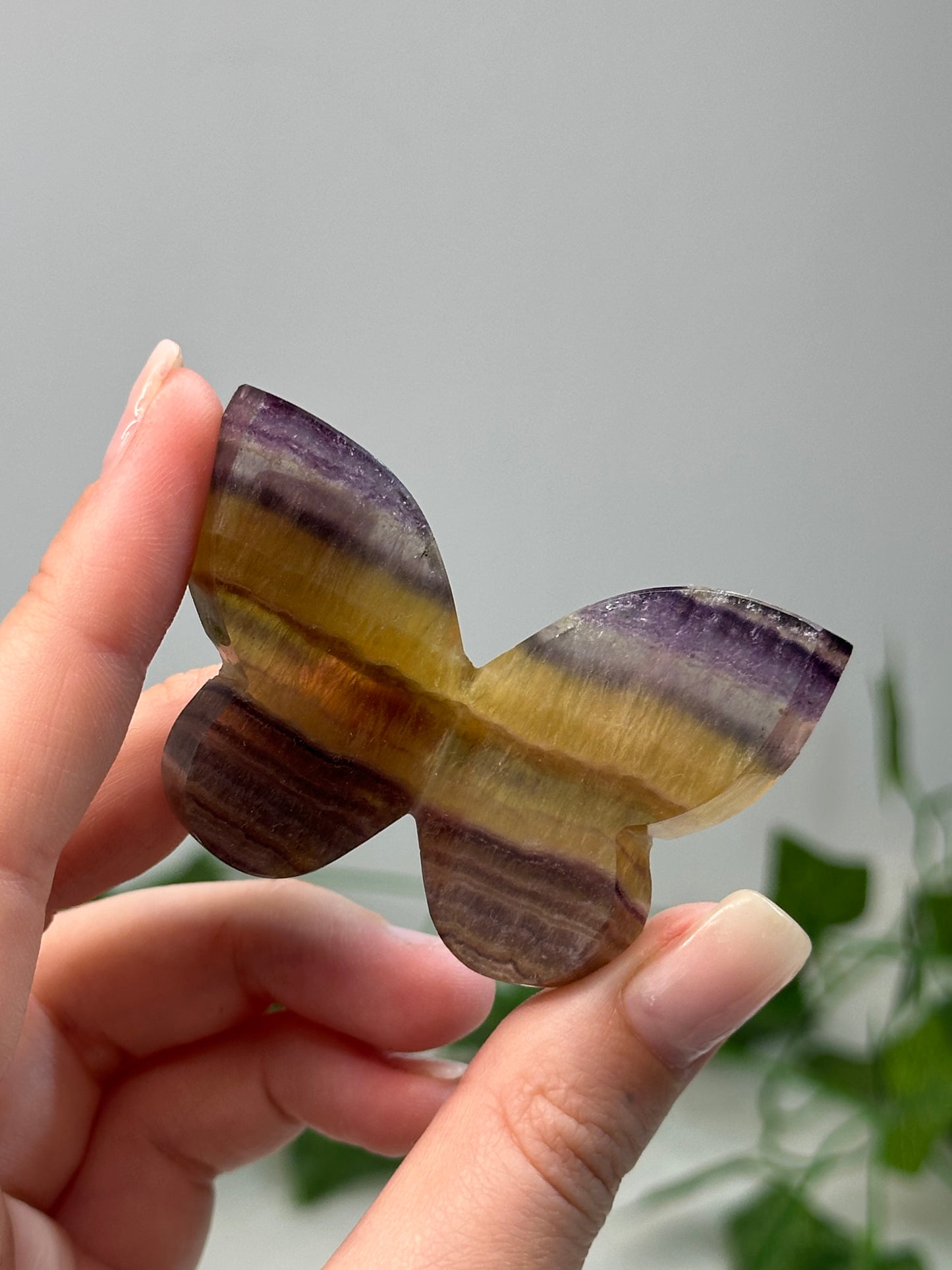 Fluorite Butterfly