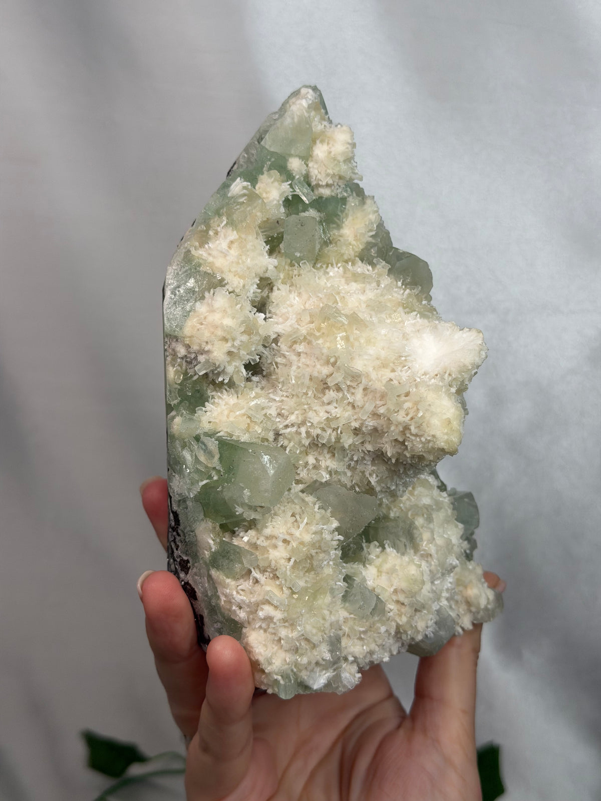 Green Apophyllite & Mordenite Cutbase