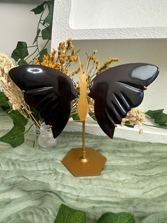 Indonesian Amber Butterfly Wings