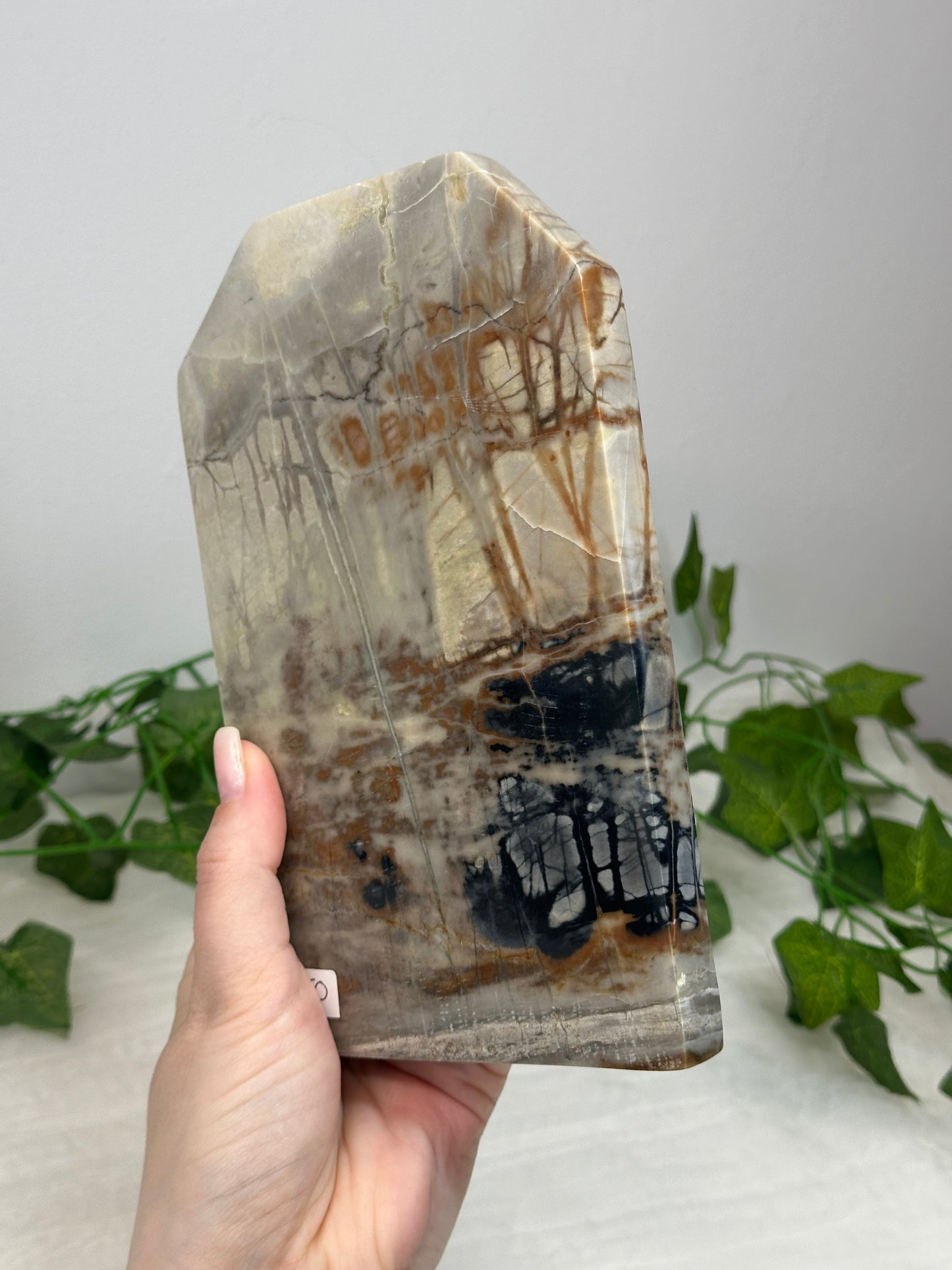 Picasso Jasper Slab
