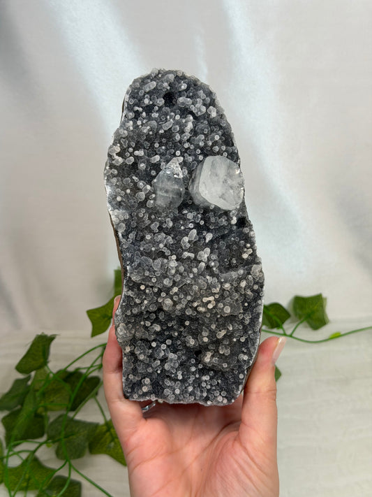 Apophyllite on Black Chalcedony Cutbase