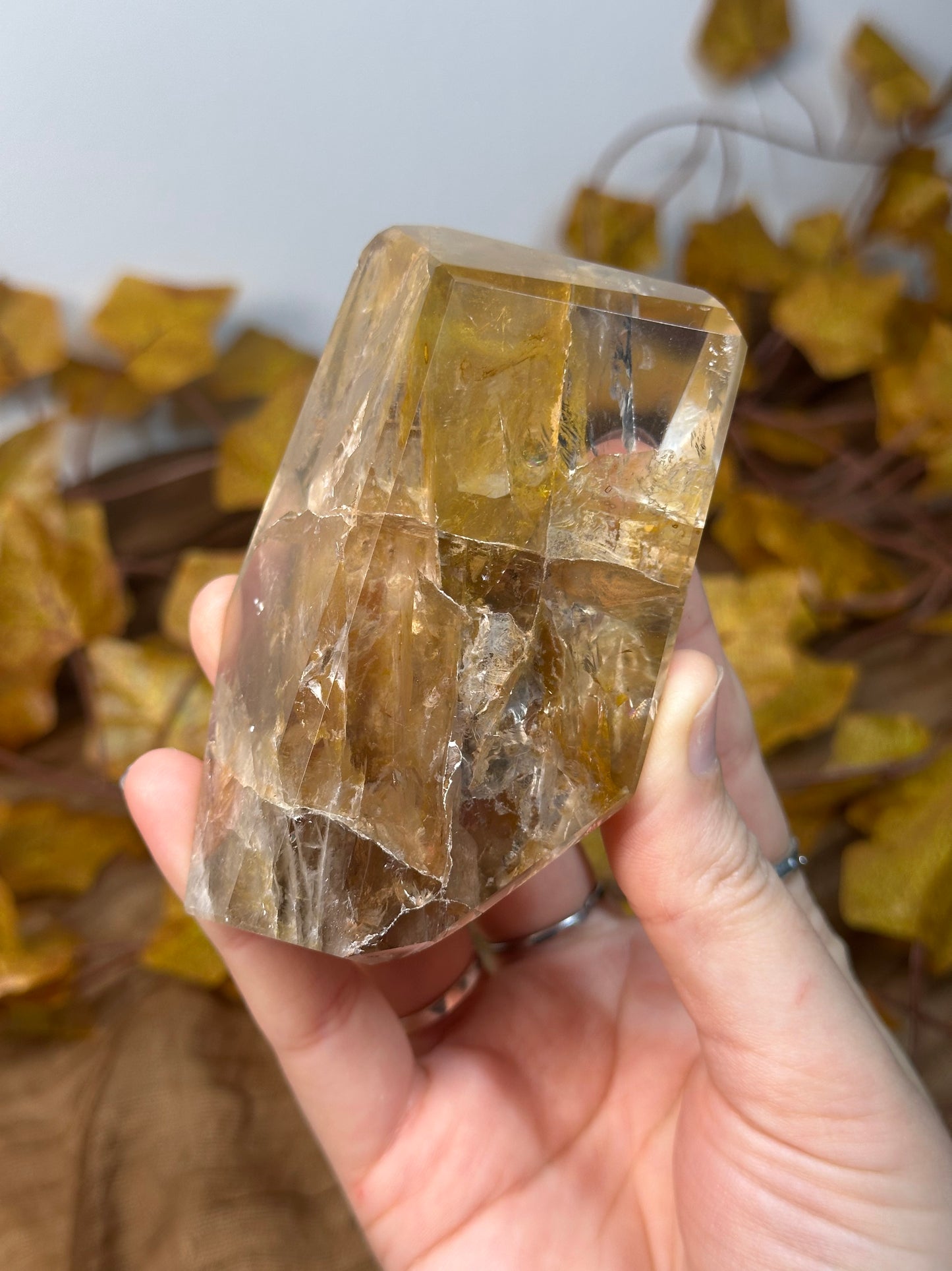 Golden Healer Freeform