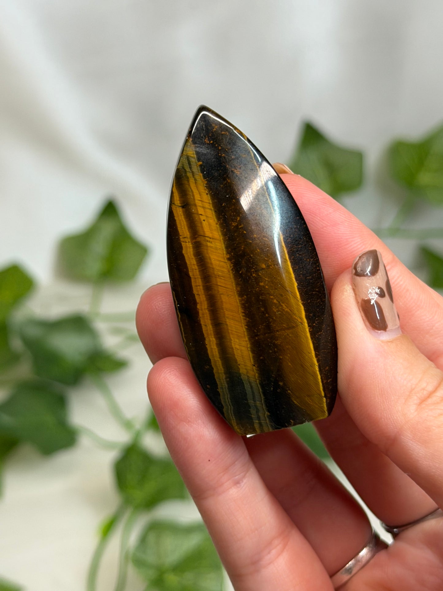 Tiger Eye Teardrops