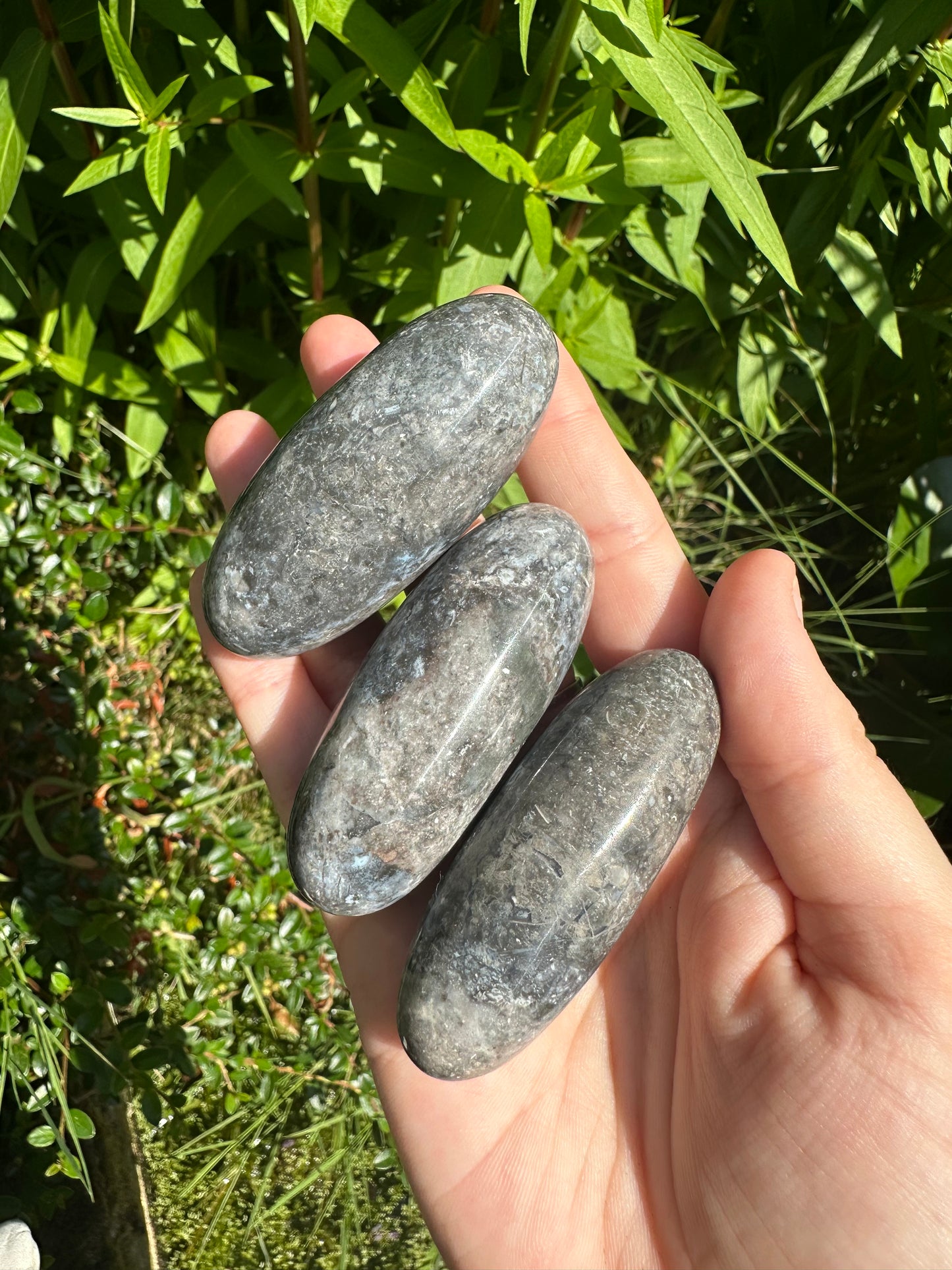 Blue Plume Agate Shivas