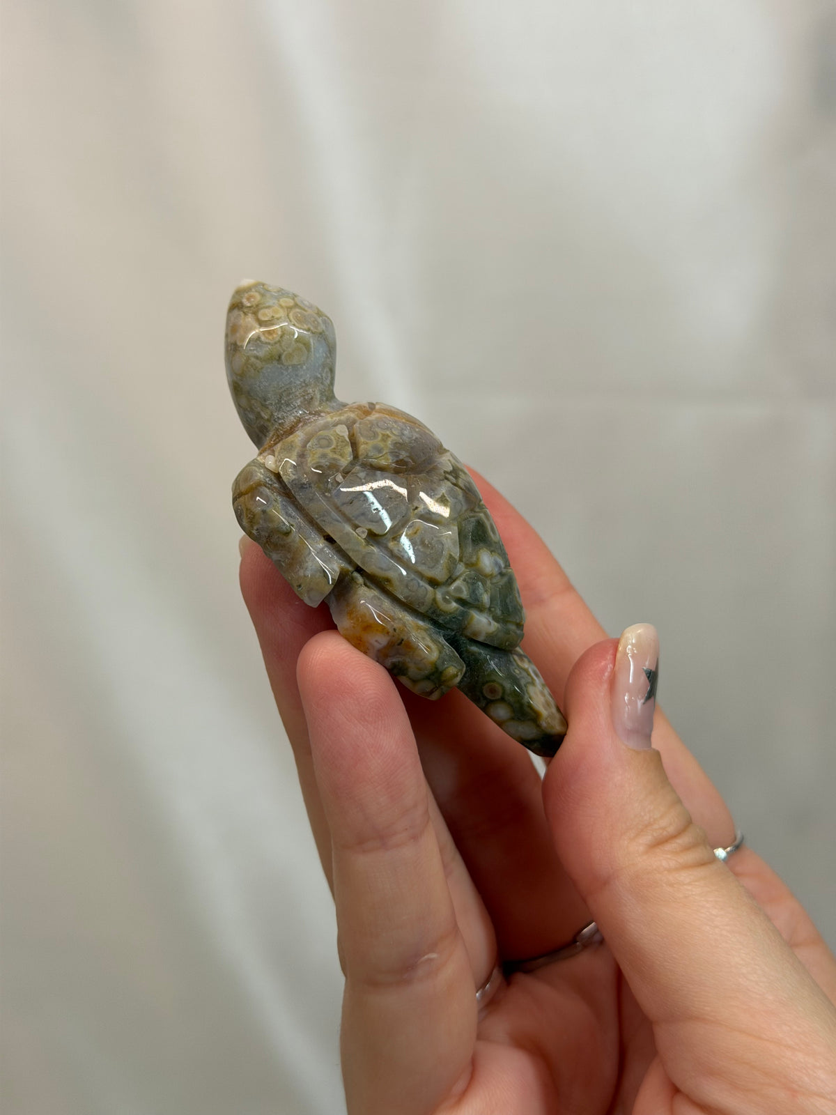 Sea Jasper Turtle
