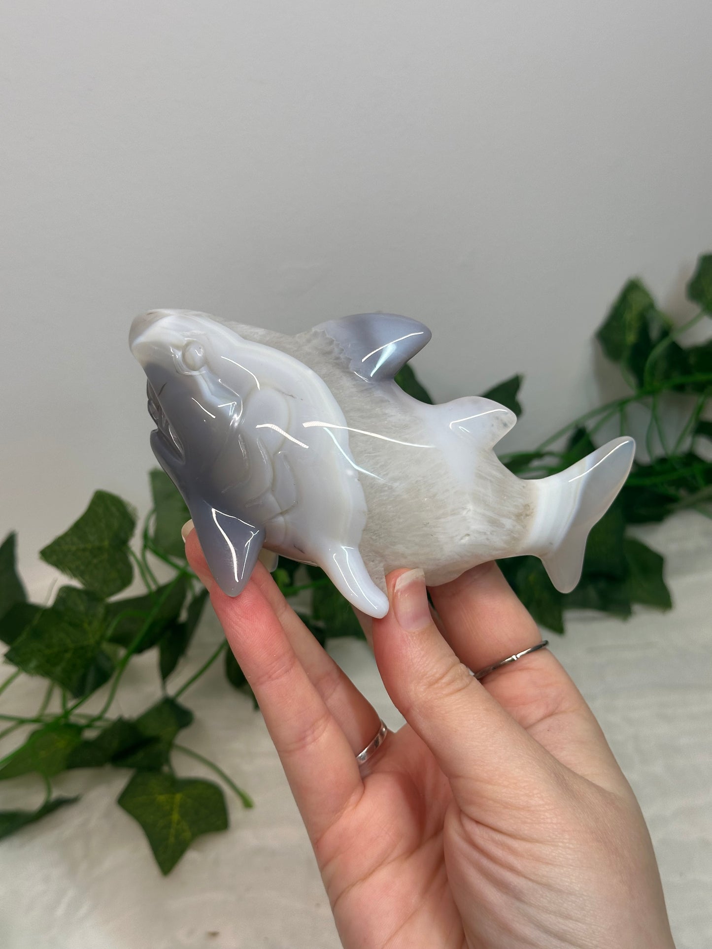 Agate Shark