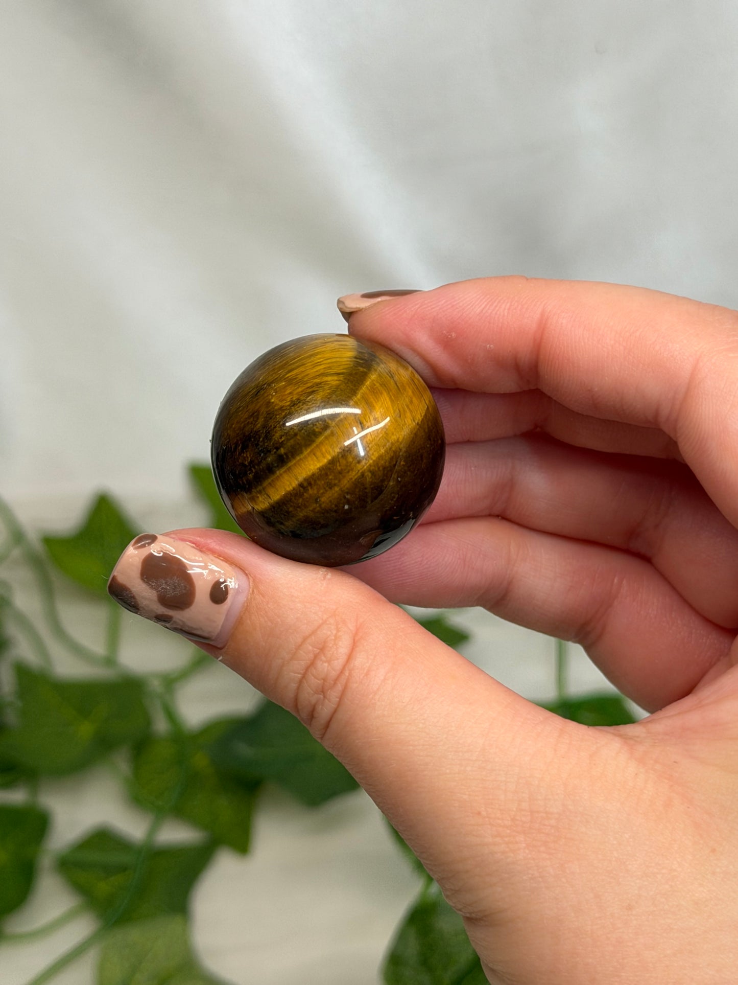 Small Tiger Eye Sphere