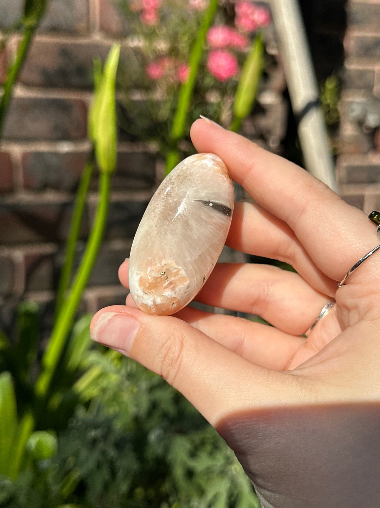 Peach Scolecite Shivas