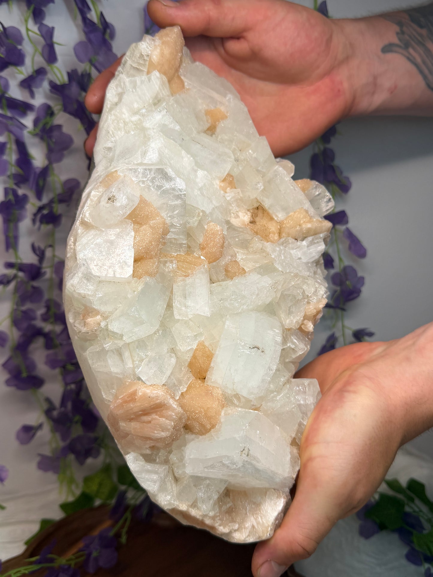 Huge Apophyllite w Peach Stilbite Cluster