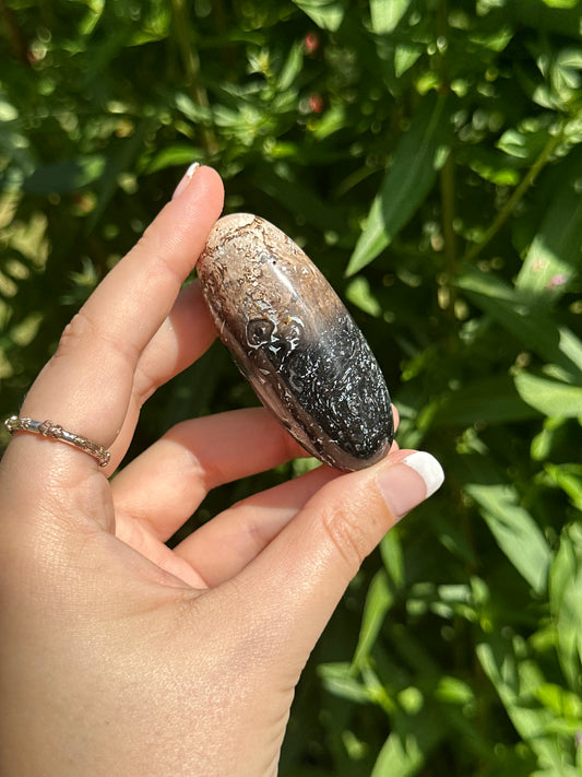 Palm Root Shiva