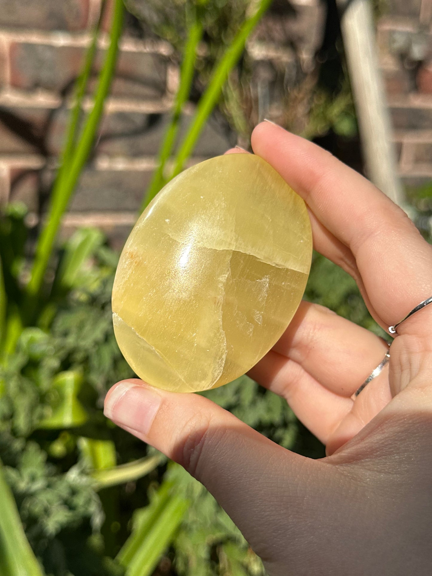 Lemon Calcite Palmstones